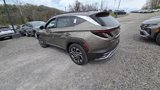 New 2025 Hyundai Tucson Limited image 4