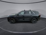 New 2025 Hyundai Palisade Calligraphy image 5