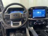 New 2025 Ford F150 XLT w/ Equipment Group 303A High image 6