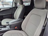 Used 2022 Ford Escape SE image 5