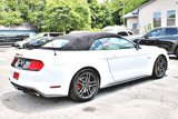 Used 2019 Ford Mustang GT Premium w/ Equipment Group 401A image 3