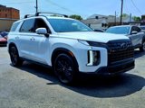 New 2025 Hyundai Palisade XRT image 2
