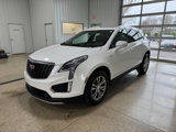 Used 2023 Cadillac XT5 Premium Luxury image 2
