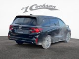 New 2025 Honda Odyssey Elite image 5