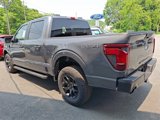 New 2025 Ford F150 STX image 3