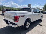 Used 2015 Ford F150 Platinum w/ Equipment Group 701A Luxury image 6