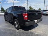 Used 2020 Ford F150 XLT w/ Equipment Group 302A Luxury image 5