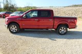 Used 2017 Ford F150 XLT w/ Equipment Group 302A Luxury image 2