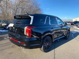 New 2025 Hyundai Palisade Calligraphy image 3