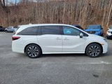 New 2025 Honda Odyssey Elite image 2