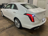 Used 2024 Cadillac CT4 Premium Luxury w/ Climate Package image 6