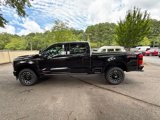 New 2025 Ford F250 Platinum image 3