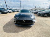 Used 2019 Ford Mustang GT image 3
