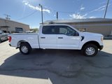 Used 2021 Ford F150 XL w/ Trailer Tow Package image 2