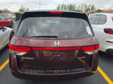 Used 2014 Honda Odyssey Touring Elite image 2