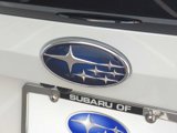 New 2025 Subaru Solterra Limited image 4