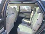 New 2025 Kia Sorento EX w/ Panoramic Sunroof Package image 5