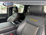 New 2025 Ford F150 Tremor image 3
