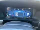New 2025 Ford F150 XLT w/ Equipment Group 301A Standard image 3