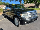 Used 2013 Ford F150 Platinum image 3