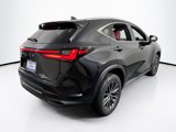 Used 2023 Lexus NX 250 AWD image 5