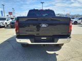New 2025 Ford F150 XLT image 4