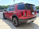New 2026 Honda Passport TrailSport Elite image 3