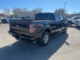 Used 2013 Ford F150 FX4 w/ Luxury Equipment Group image 5
