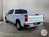 Used 2024 Chevrolet Silverado 1500 LT w/ Protection Package image 5