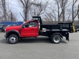 New 2025 Ford F550 4x4 Regular Cab Super Duty image 3