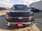 New 2025 Ford F150 XLT w/ Equipment Group 302A MID image 3