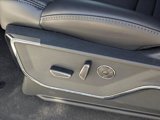 New 2025 Ford F150 Platinum w/ Equipment Group 702A High image 4