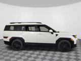 New 2026 Hyundai Santa Fe Calligraphy image 2