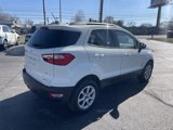 Used 2020 Ford EcoSport SE image 4