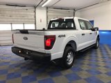 New 2025 Ford F150 XL image 3