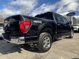 New 2025 Ford F150 XLT w/ Equipment Group 302A MID image 6