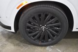 New 2025 Hyundai Palisade Calligraphy image 4