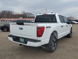 New 2025 Ford F150 STX w/ Equipment Group 200A image 5