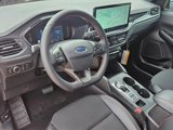 New 2025 Ford Escape ST-Line w/ Tech Pack #1 image 3