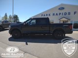 New 2025 Ford F150 Lariat w/ Equipment Group 502A High image 2