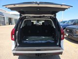 New 2025 Ford Expedition Active image 6