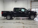 New 2025 Ford F150 XLT w/ Equipment Group 301A Standard image 4