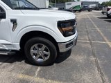 New 2025 Ford F150 XLT w/ Equipment Group 302A MID image 3