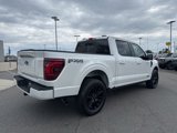 New 2025 Ford F150 Platinum w/ Equipment Group 702A High image 3