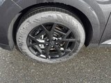 New 2025 Kia Carnival SX w/ SX Dark Edition Package image 3
