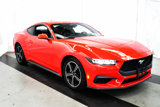 Used 2024 Ford Mustang Premium image 2