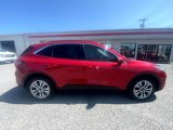 Used 2022 Ford Escape SEL image 4