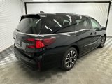 New 2025 Honda Odyssey Elite image 5