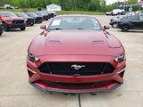 Used 2018 Ford Mustang GT image 3