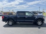 Used 2023 Ford F150 XLT w/ Equipment Group 302A High image 2